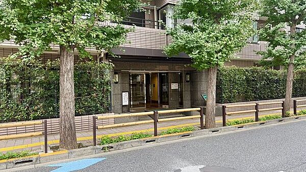 緑が多い通り沿いに面したエントランスです