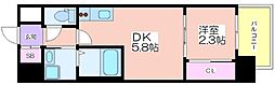 セレニテ南堀江エクラ 5階/-