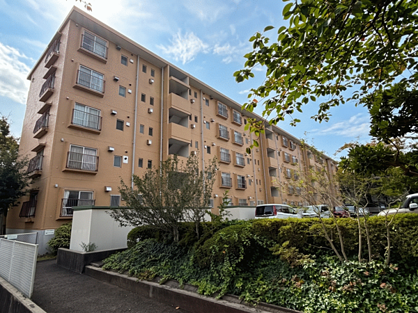 外観：314002873745