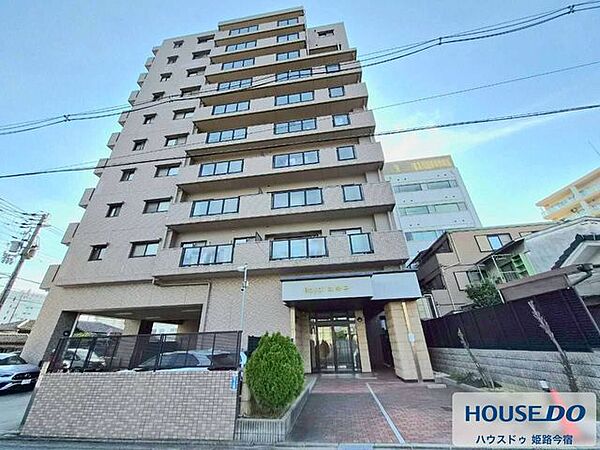 建物全体を確認できる外観写真です。落ち着いた色合いの10階建てマンションです。