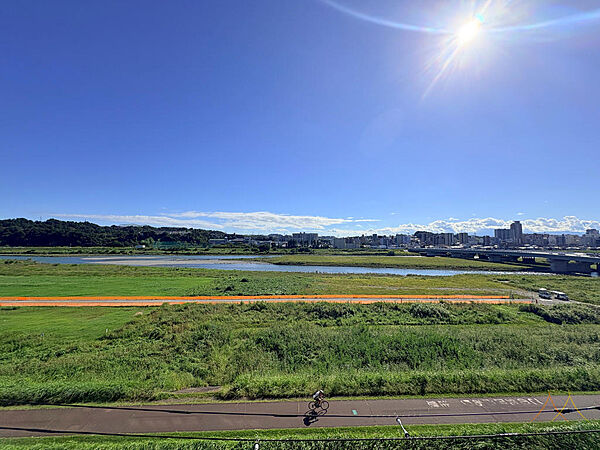 南向き6階のバルコニーから、多摩川と河川敷の緑を望む眺望。空と水辺の広がりを身近に感じられるロケーションです。