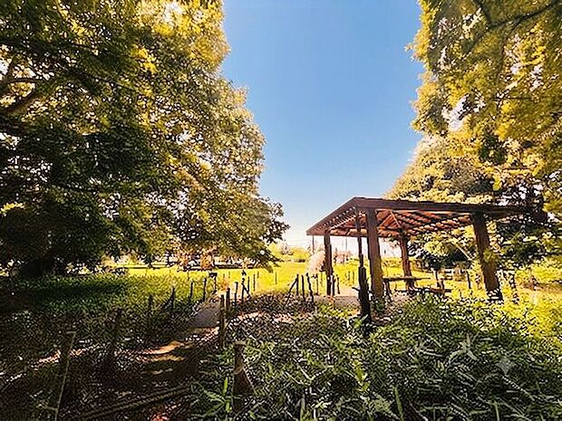 根岸台自然公園 500m