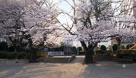 泉水公園 130m