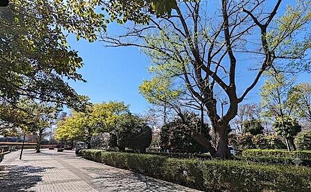 朝霞中央公園 560m