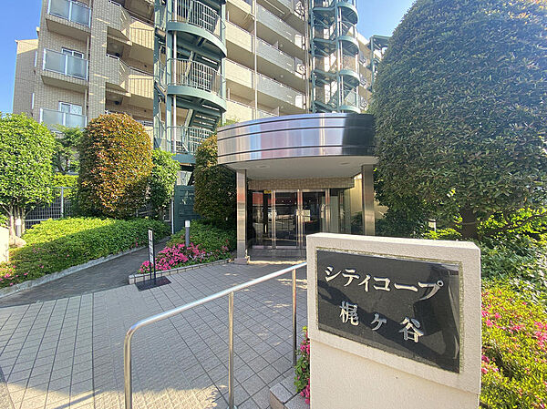 きれいに整えられた植栽が出迎えるエントランスアプローチ。スロープが設置されており、ベビーカーやキャリーバッグの出し入れもスムーズです。