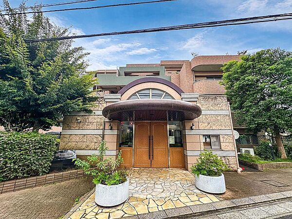 厚感溢れるエントランスドア。管理体制の良さが伺える美しい共用部です。