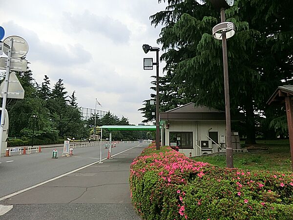 明治神宮外苑