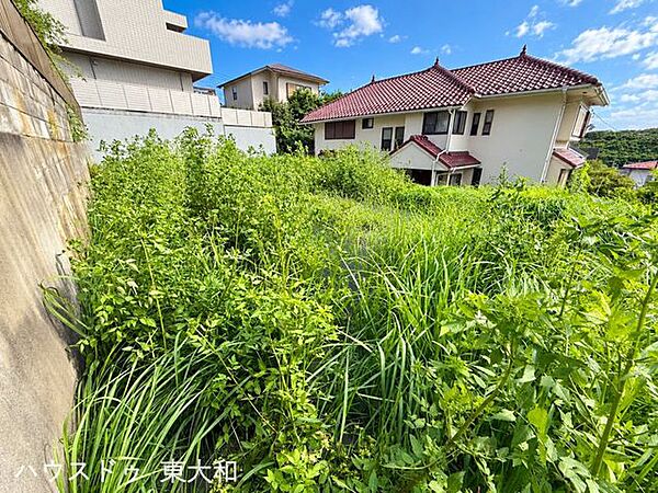敷地の奥まで見渡せる一枚。土地の広がりや周辺環境をご確認いただけます。