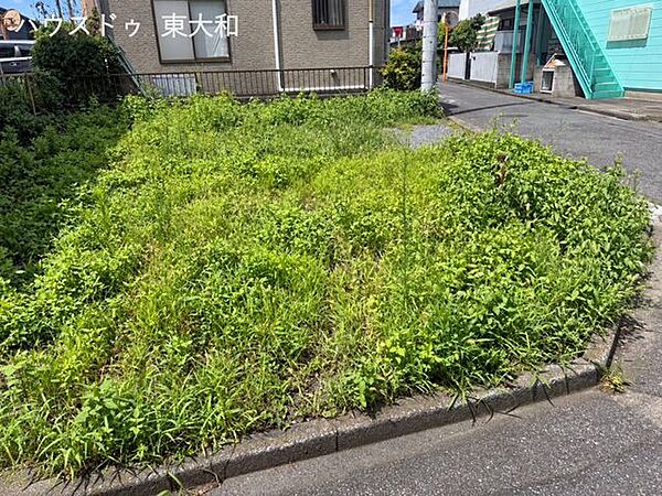 敷地の様子を間近で確認できる写真です。土地の広がりや周辺環境をご覧ください。