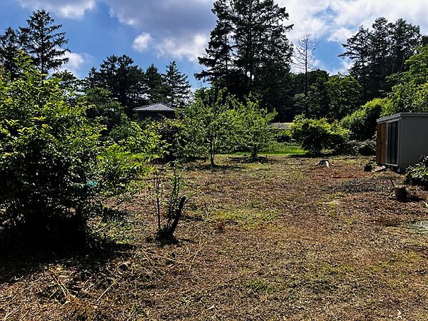 現地土地写真