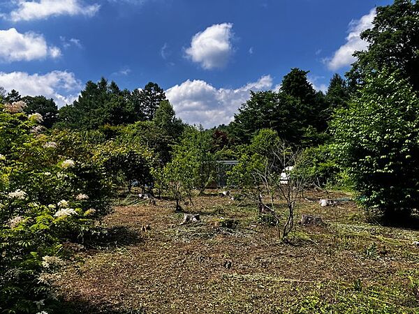 現地土地写真