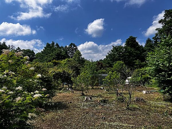 現地土地写真
