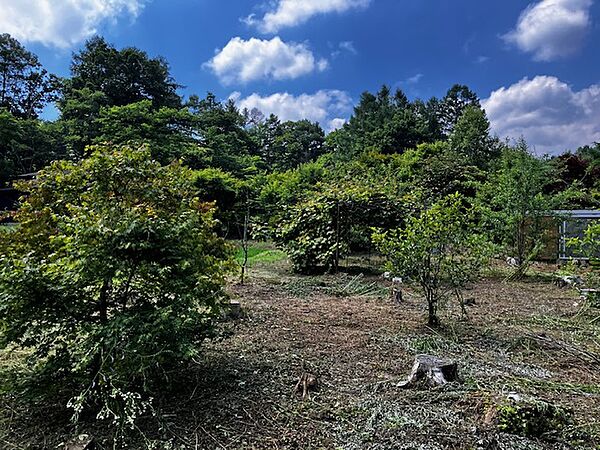 現地土地写真
