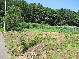 長野県上水内郡信濃町大字富濃