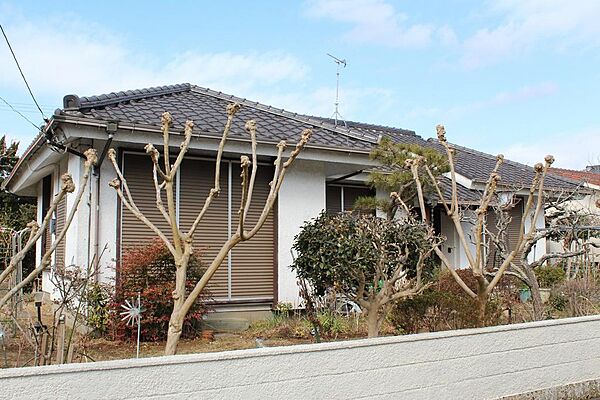 外観：312001124192