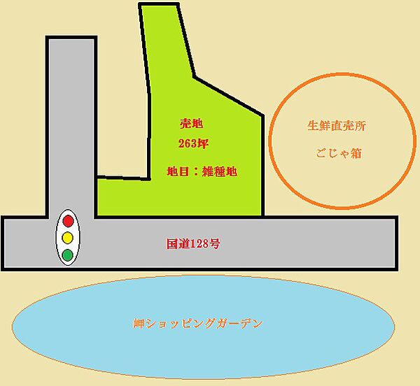 概略図