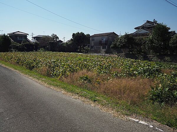 外観：341000026797