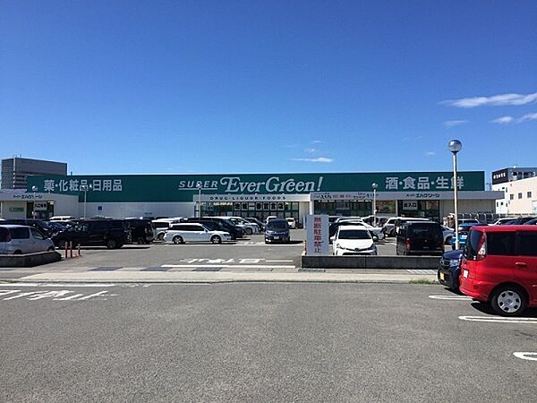 エバグリーン新中島店まで576m