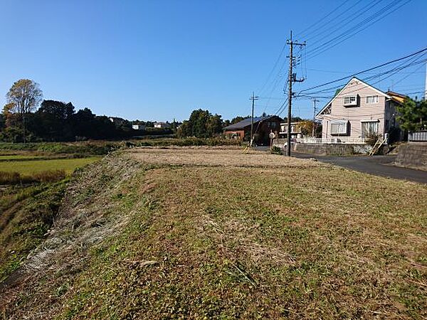 東南に斜面15坪程度あり。