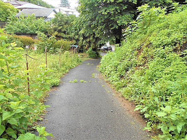 二項道路