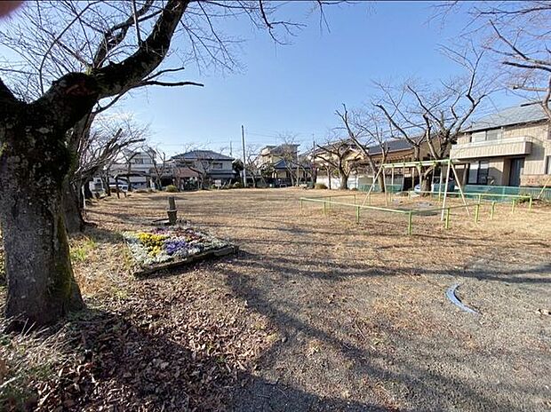 北側、目の前が公園です。広見桜公園。