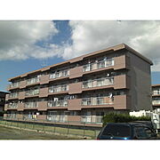 コーポ布野２ 1階 築43年10ヶ月の賃貸物件