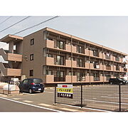 グレース白枝の賃貸物件