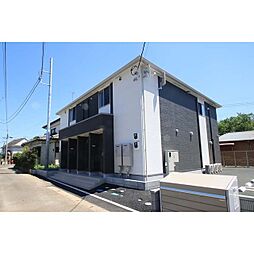 sakura（サクラ）