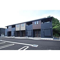 プリムローズ　B