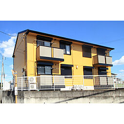 シェル・ガーデンII