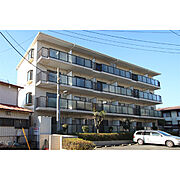 エルフィン土浦 3階 築36年4ヶ月の賃貸物件