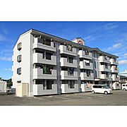 サンフル真鍋 3階 築35年9ヶ月の賃貸物件