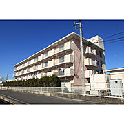 ルシール 2階 築39年4ヶ月の賃貸物件