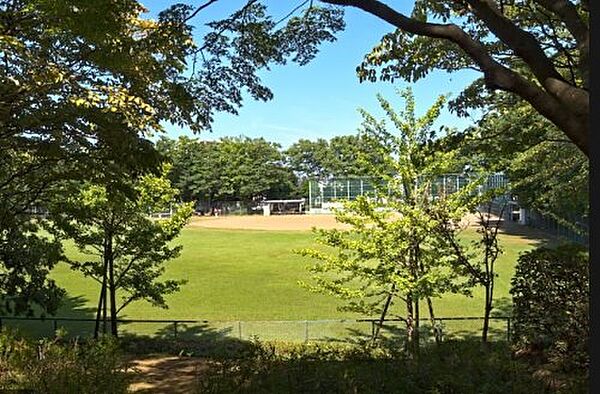 画像30:【公園】つくば市立 桜南スポーツ公園まで255ｍ