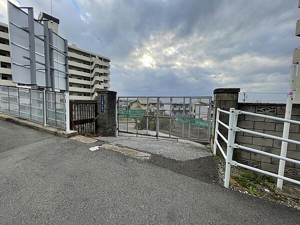 外観：312001146011