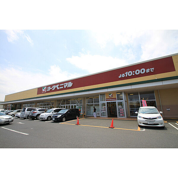 画像17:ヨークベニマル谷田部店