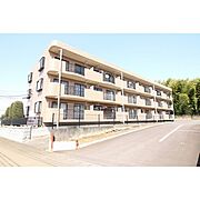 三島屋マンション 3階 築28年3ヶ月の賃貸物件