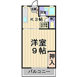 ドリームズカムトゥルー 1Kの間取図画像