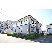 ステラA 2階 築28年1ヶ月の賃貸物件