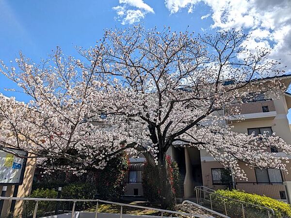 apartment 茨城県龍ケ崎市久保台4丁目
地図を見る