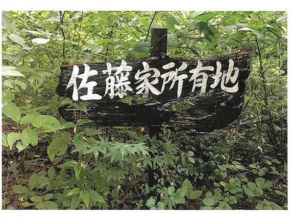 外観：309000098124
