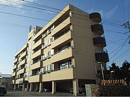 コーポマツヤII 303号室