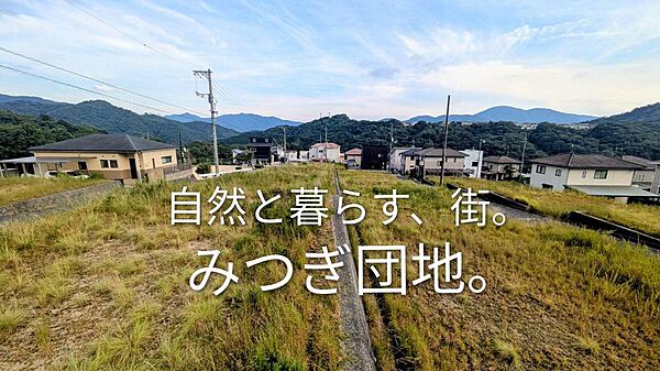 外観：334000263996
