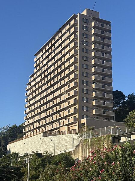 外観：334000265299