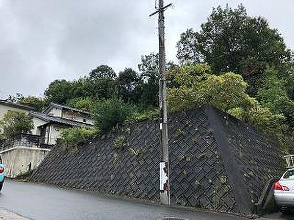 外観：334000263267