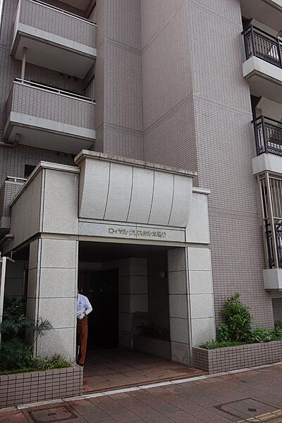 外観：334000246346