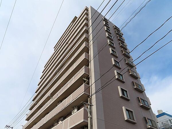 外観：334000275484