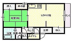 新家アパート 1LDKの間取図画像