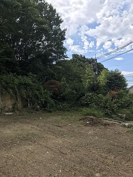 外観：334000208639