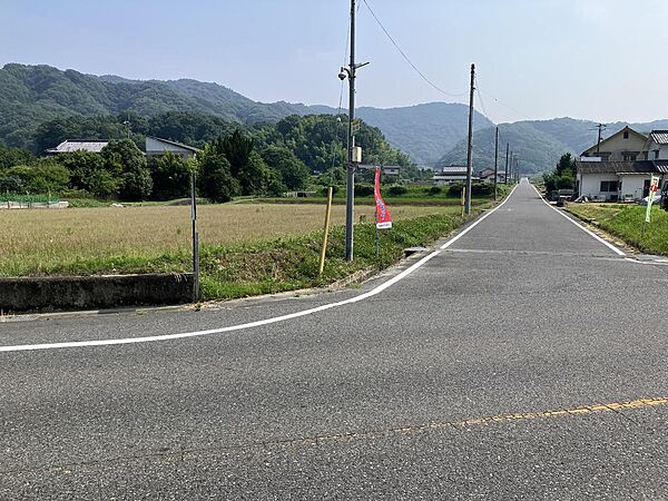 外観：334000262439